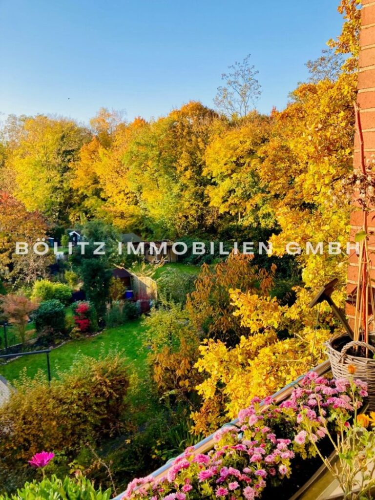 Blick zum Garten