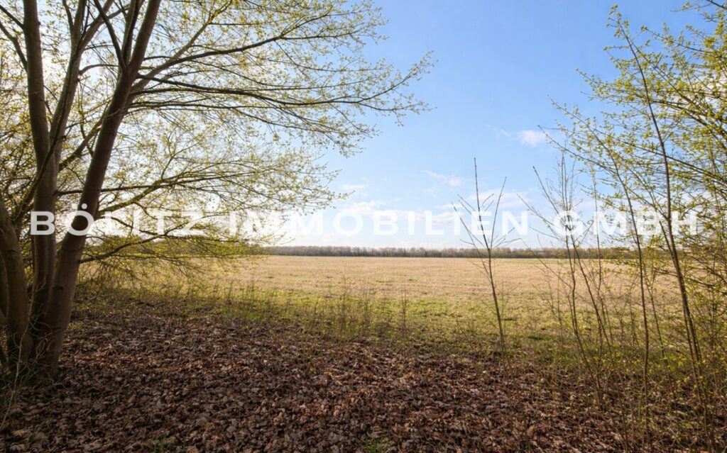 Feld